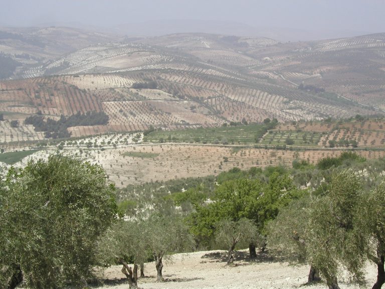 كتلة جبل سمعان و يزيدية سوريا – الجزء الأول