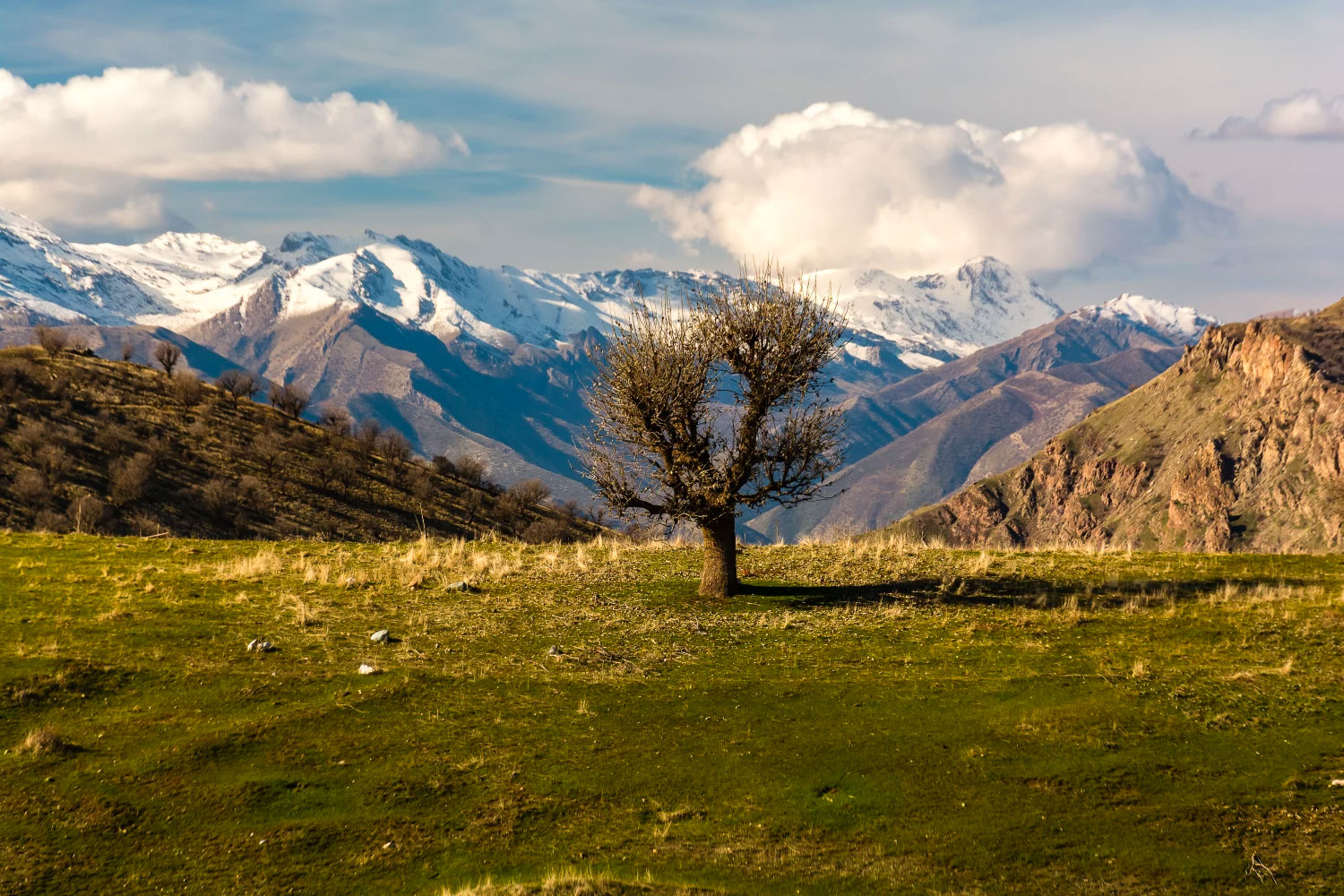 كوردستان - السليمانية © كارزان عمر
